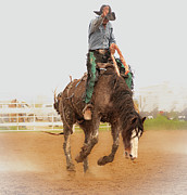 Soul of Rodeo Photograph by Kelly Markus