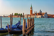 South Venice Photograph by Manjik Pictures