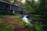 Southern Gem II Photograph by DB Hayes Southern Gem II Photograph by DB Hayes