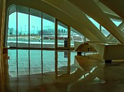 Southern Winter View Photograph by Deb Beausoleil