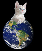 Space Kitten Ruler of Earth Funny Digital Art by Flippin Sweet Gear