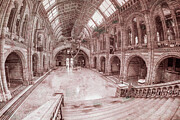 Sperm whale skeleton in Natural History Museum of London Photograph by Stuart Chard Sperm whale skeleton in Natural History Museum of London Photograph by Stuart Chard