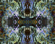 Splash of Creekwater Psychedelia #1 Photograph by Ben Upham III