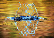 Splash on a fall evening Photograph by Lyl Dil Creations