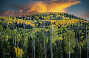 Splendor Hill Sunset Photograph by Dave Diegelman