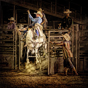 Spotlight Digital Art by Linda Lee Hall