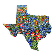 Spring Bliss Texas Map Painting by Hailey E Herrera Spring Bliss Texas Map Painting by Hailey E Herrera
