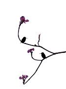 Spring Break Digital Art by Catherine Jeltes
