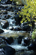 Spring Cascade, Crowley Lake Photograph by Bonnie Colgan Spring Cascade, Crowley Lake Photograph by Bonnie Colgan