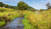 Spring Creek Photograph by Mark Mille Spring Creek Photograph by Mark Mille
