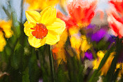 Spring flowers in the sunlight Mixed Media by Tatiana Travelways
