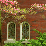 Spring Framing Photograph by Marilyn Cornwell