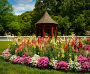 Spring Garden Impressions Photograph by Kathi Isserman