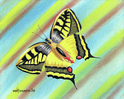 Spring Has Sprung Drawing by Michael Freeman