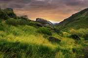 Spring In The Eastern Sierra Photograph by Frank Wilson Spring In The Eastern Sierra Photograph by Frank Wilson