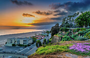 Spring In The Park On The Bluffs Photograph by Gene Parks