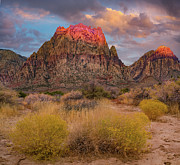 Spring Mountains, Red Rock Canyon National Conservation Area, Nevada, USA Photograph by Tim Fitzharris
