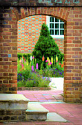 Spring Opening Photograph by Kathi Isserman Spring Opening Photograph by Kathi Isserman