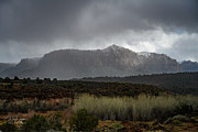 Spring Rising Photograph by Dave Diegelman Spring Rising Photograph by Dave Diegelman