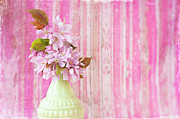 Spring Still Photograph by Jill Love
