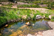 Spring Wildflowers and Clear Creek at Enchanted Rock, Texas Photograph by Brigitte Blanchette Thompson Spring Wildflowers and Clear Creek at Enchanted Rock, Texas Photograph by Brigitte Blanchette Thompson