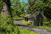 Springhouse in Summer Photograph by Denise Harty Springhouse in Summer Photograph by Denise Harty