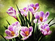Spring's Early Gift Digital Art by Lois Bryan