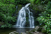 Spruce Flats Falls 22 Photograph by Phil Perkins