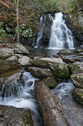 Spruce Flats Falls 33 Photograph by Phil Perkins