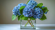 Square Vase Digital Art by Mia Thompson