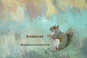 Squirrel Andover MA Mixed Media by Elisabeth Lucas