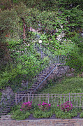 Stairs up Celestial Street Photograph by Bentley Davis Stairs up Celestial Street Photograph by Bentley Davis
