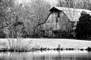Standing Still Photograph by Merle Grenz