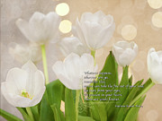 Stars In Your Eyes Quote Photograph by Jill Love