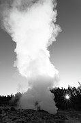 Steamboat Geyser, Yellowstone National Park Photograph by The Yellowstone Collection