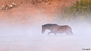 Steamy Crossing. Photograph by Paul Martin