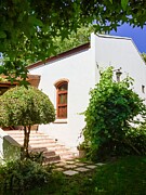 Stellenbosch Garden Glow Photograph by Travel Essayist Stellenbosch Garden Glow Photograph by Travel Essayist
