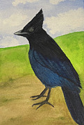 Steller's Jay Painting by Lisa Neuman Steller's Jay Painting by Lisa Neuman