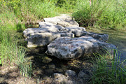 Nature's Passage A Creek Crossing with Stepping Stones Photograph by Brigitte Blanchette Thompson