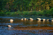 Stepping Stones Photograph by Mike Smale