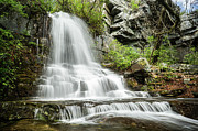 Still Creek Photograph by Tyler Penland