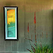 Still Life with Red Yucca Photograph by Grey Coopre