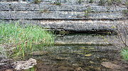 Spring-Fed Pond Detail - Lost Maples State Natural Area, Texas Hill Country Photograph by Brigitte Blanchette Thompson Spring-Fed Pond Detail - Lost Maples State Natural Area, Texas Hill Country Photograph by Brigitte Blanchette Thompson
