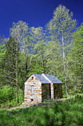 Stone Cabin Photograph by Steven Nelson Stone Cabin Photograph by Steven Nelson