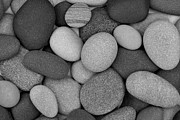 Stone Soup Black and White Photograph by Kathi Mirto