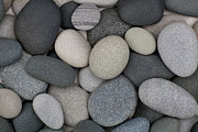 Stone Soup Photograph by Kathi Mirto