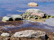 Stones at the beach, close-up Photograph by Eva-Maria Di Bella