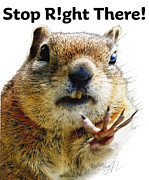 Stop Right There - Chipmunk Body Language with Typography Photograph by Lena Owens