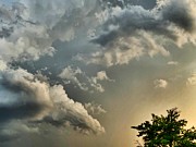 Storm brewing  Photograph by Stephen Dorton