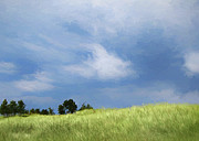 Storm Over Grassy Dune Digital Art by Kathi Mirto